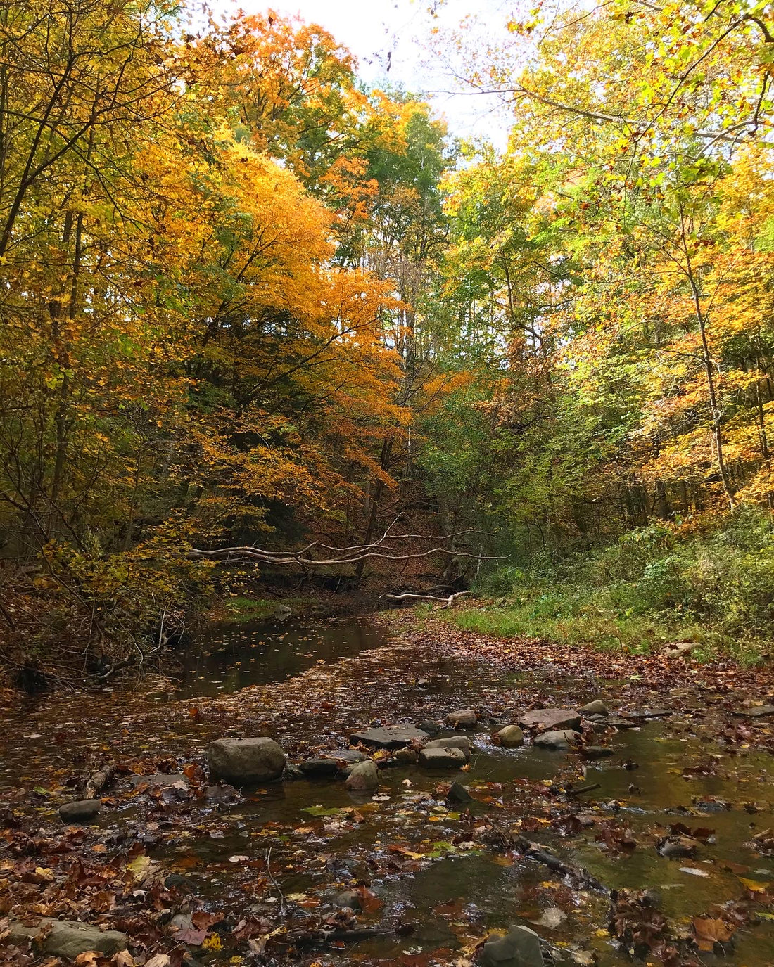 November Love Letter