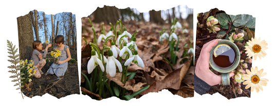 Wild Spring Awakening