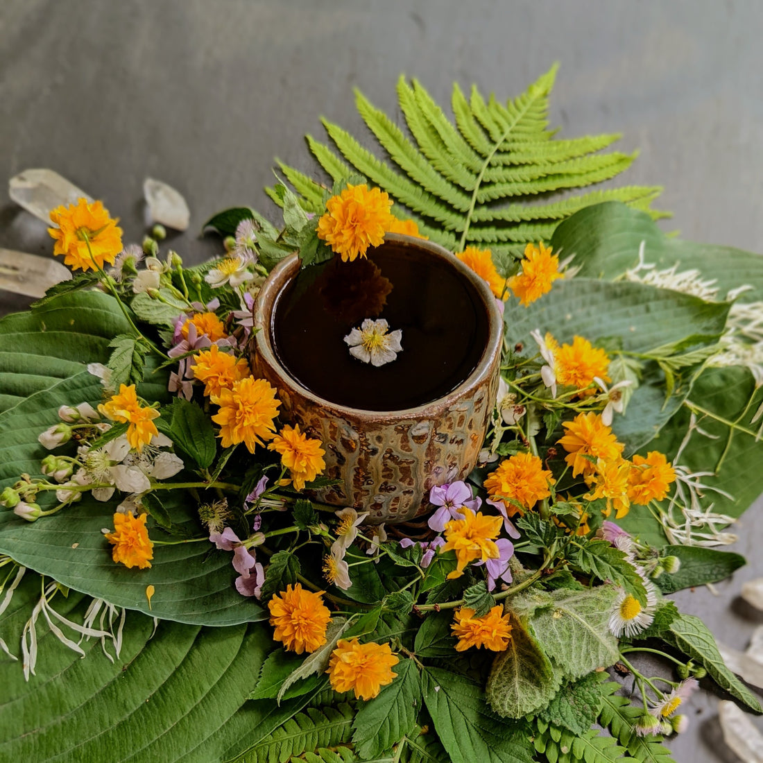 Summer Solstice Celebration!