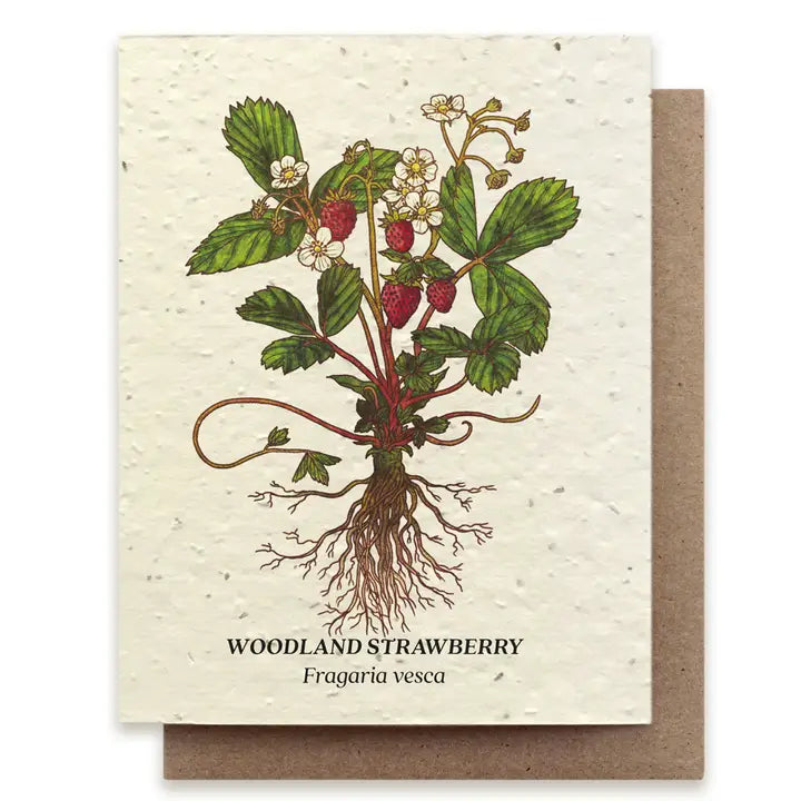 Plantable Seed Cards