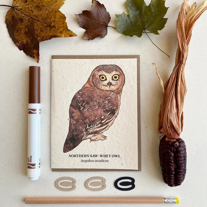 Plantable Seed Cards