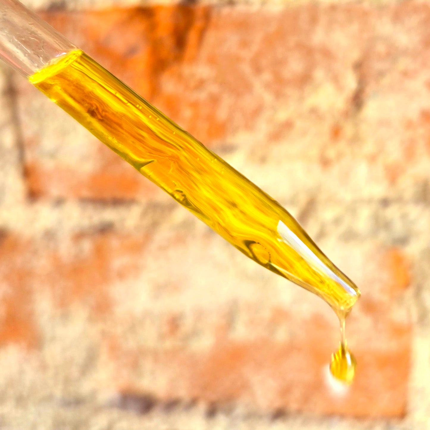 Oil of Oregano