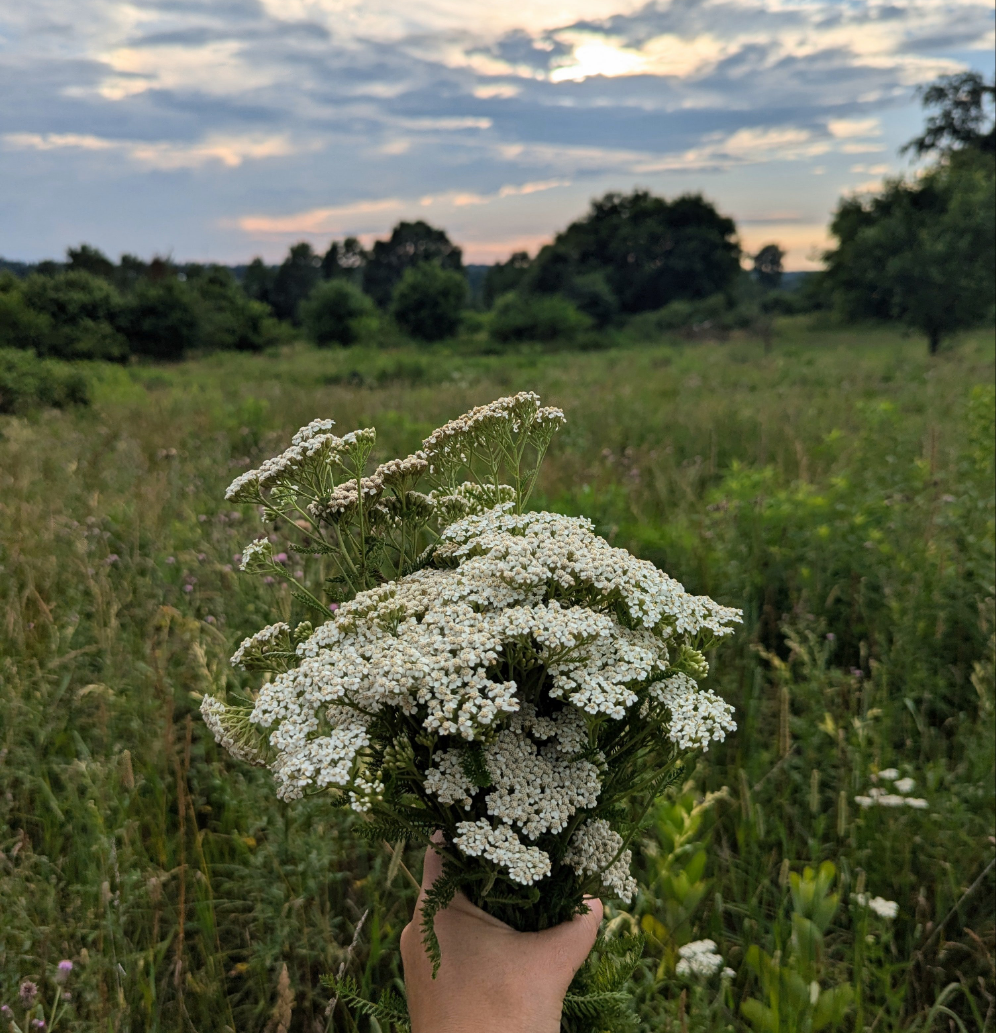 Yarrow Mist