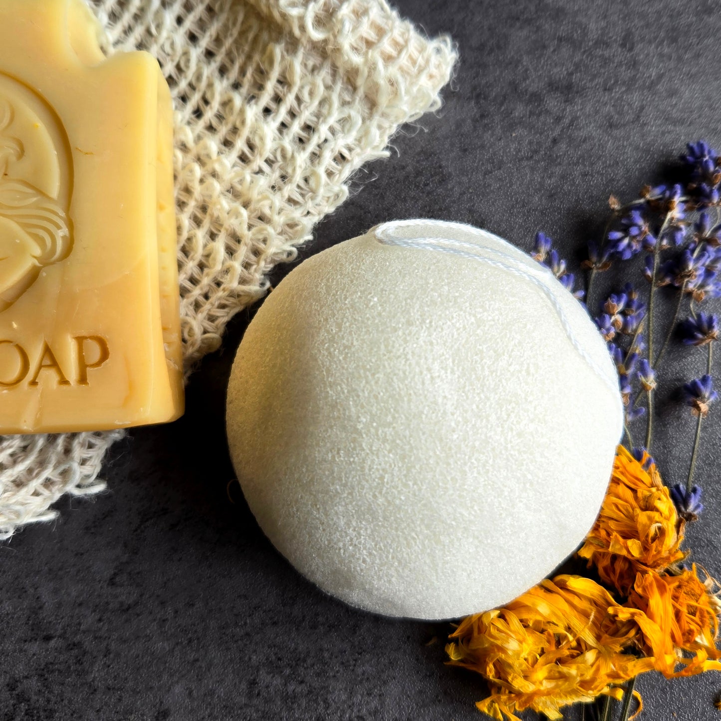 Gnat & Bee Konjac Root Facial Sponge