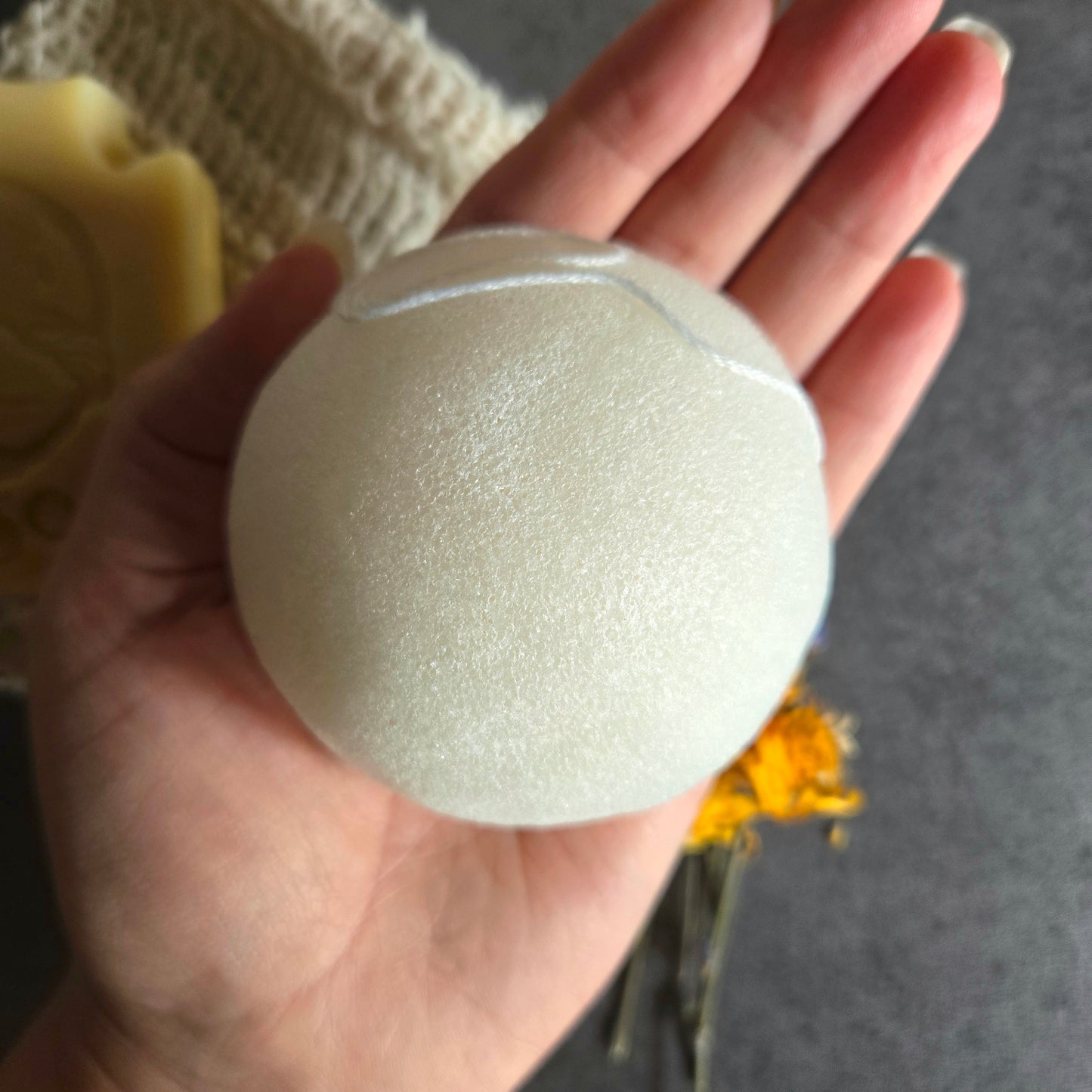 Gnat & Bee Konjac Root Facial Sponge