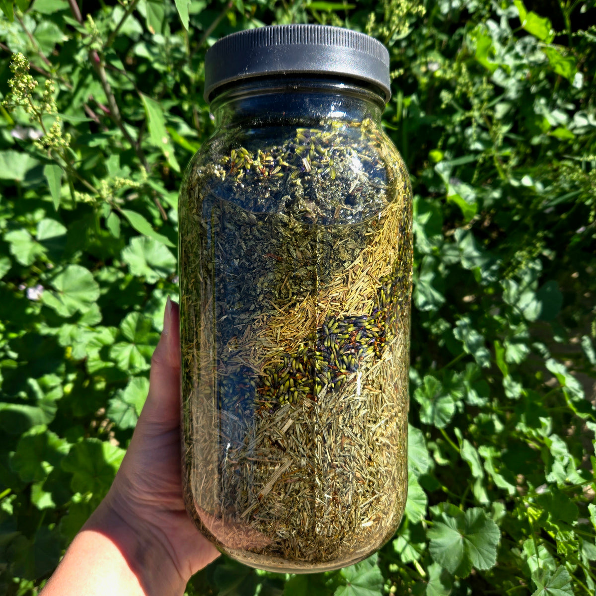 Hair Serum | Rosemary, Horsetail & Castor Oil