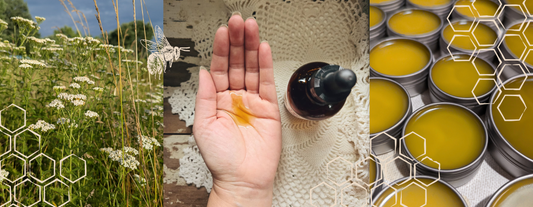 From Hive to Garden: Crafting Salves with Local Herbs and Beeswax