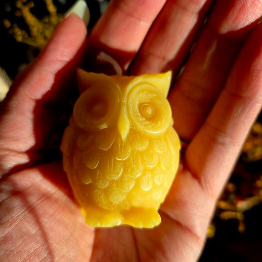 Owl Mini Beeswax Candle