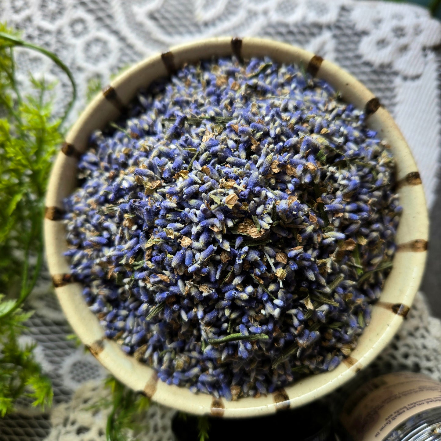 Culinary Lavender