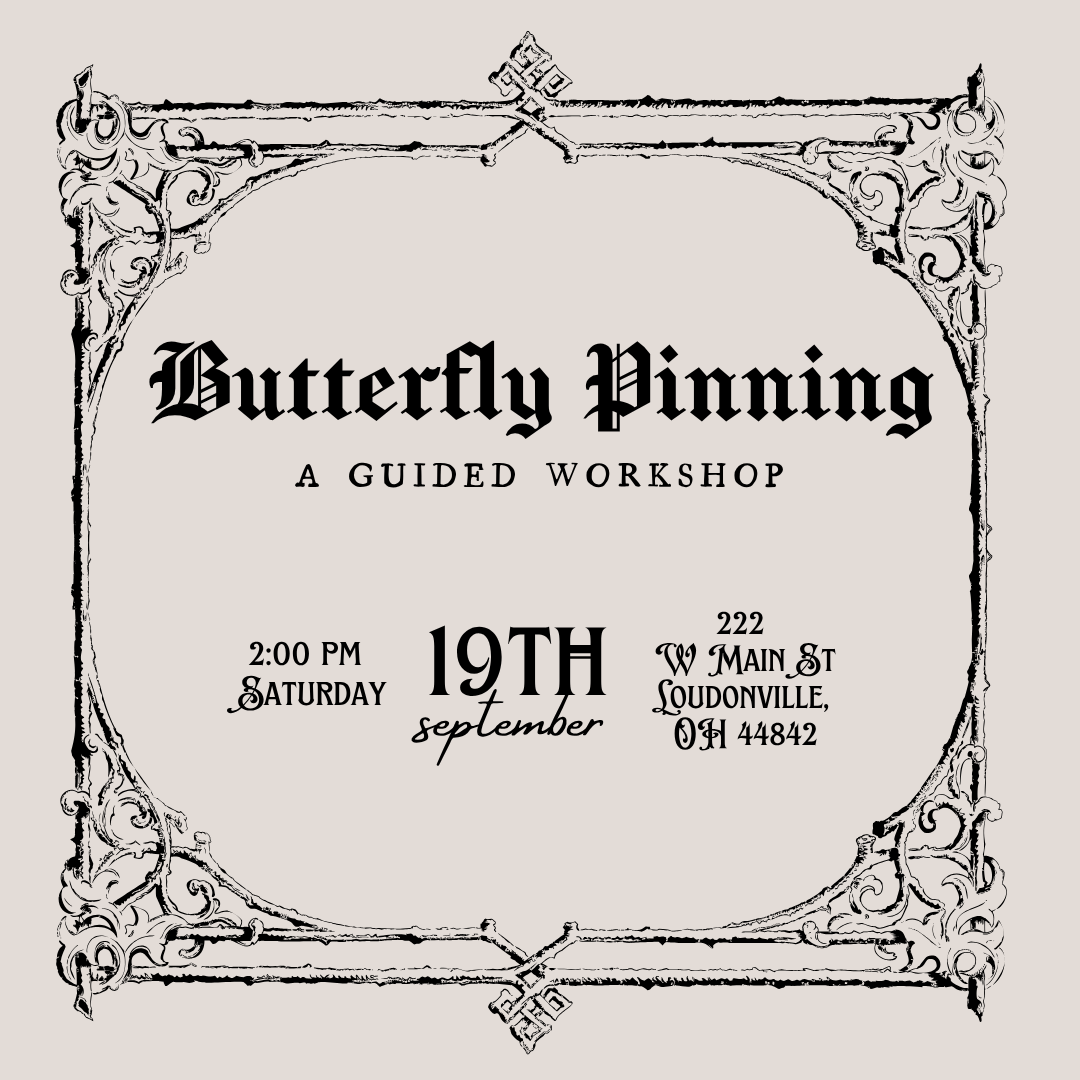 Butterfly Pinning with Lady Starlace✨