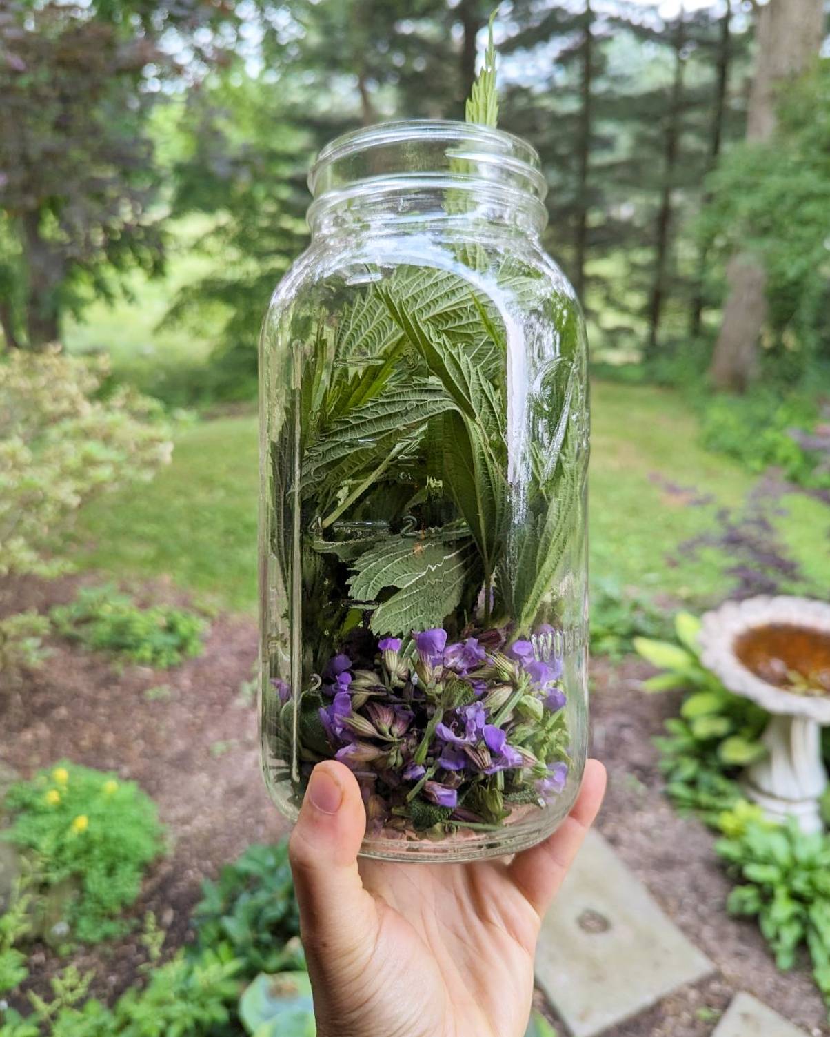 Hair Tonic | Sage, Lavender & Nettles