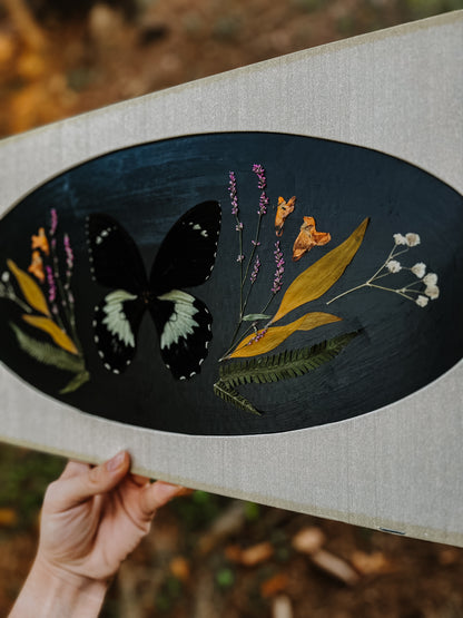 Butterfly Pinning with Lady Starlace✨