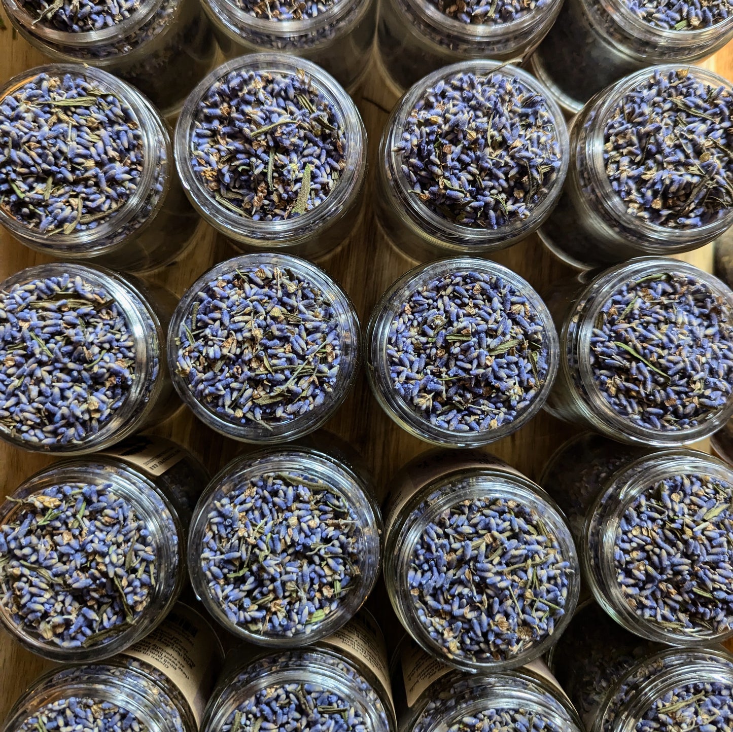 Culinary Lavender