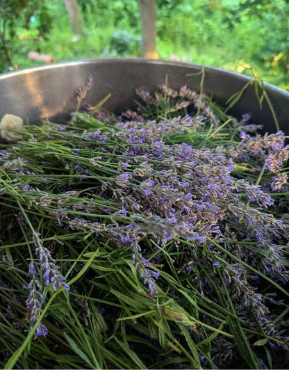 Lavender Mist