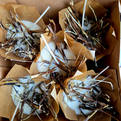 Botanical Fire Starters