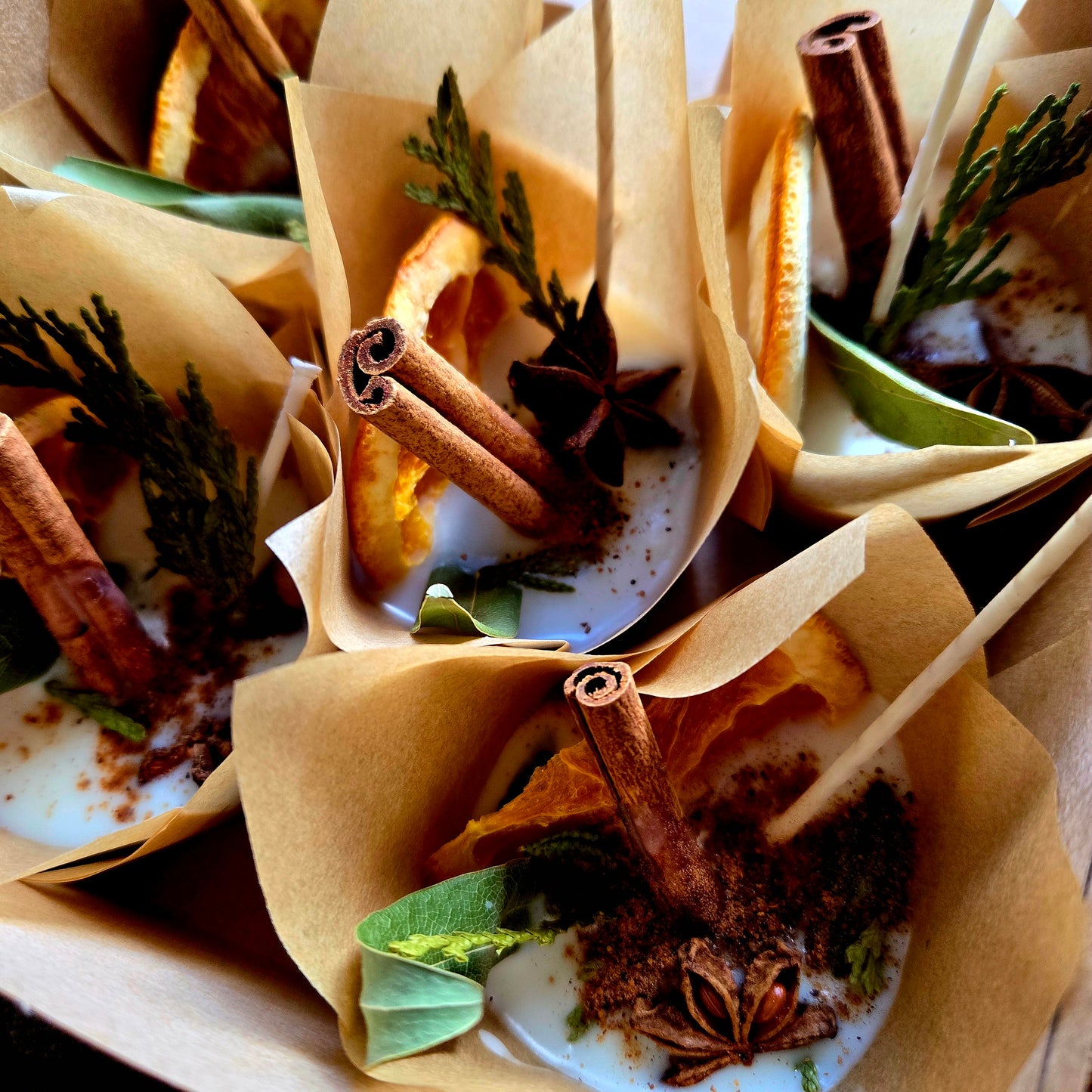 Botanical Fire Starters
