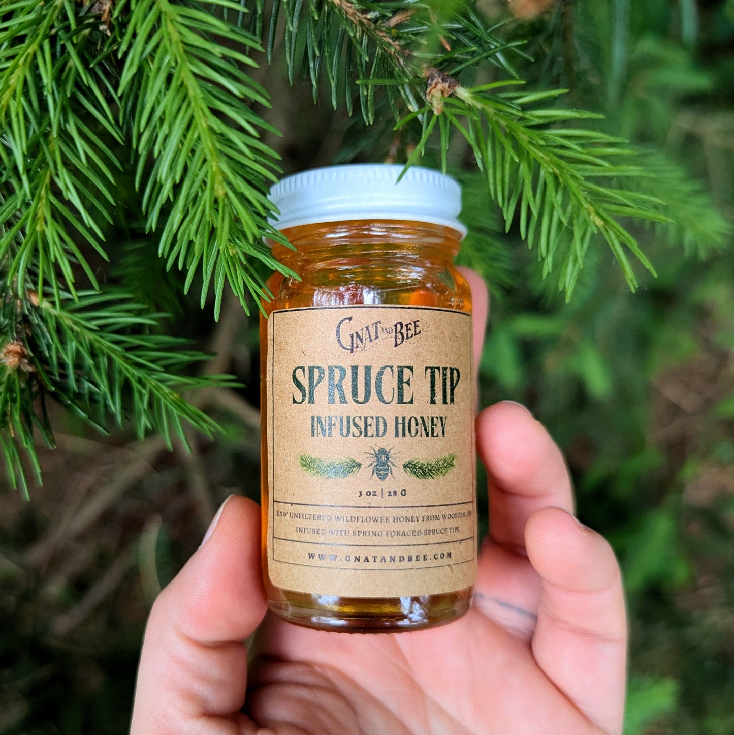 Spruce Tip | Herbal Infused Honey