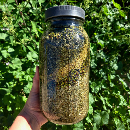 Hair Serum | Rosemary, Horsetail & Castor Oil